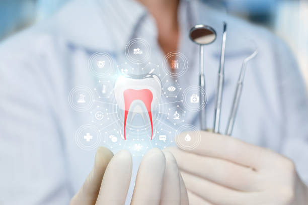 Trusted North Massapequa, NY Dental Services Experts
